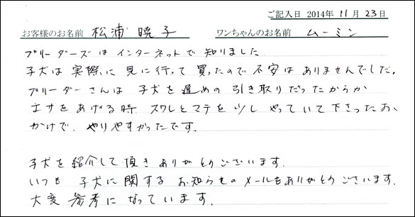 子犬お客様の声