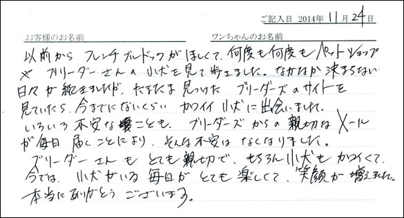 子犬お客様の声