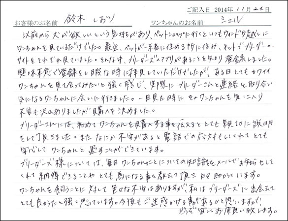 子犬お客様の声