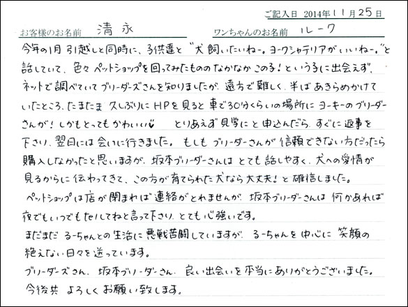 子犬お客様の声