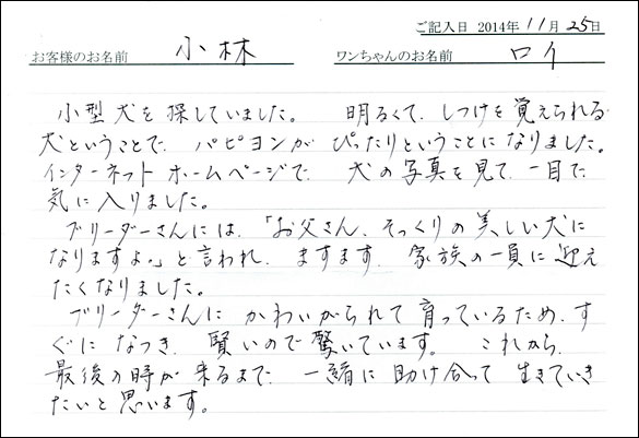子犬お客様の声