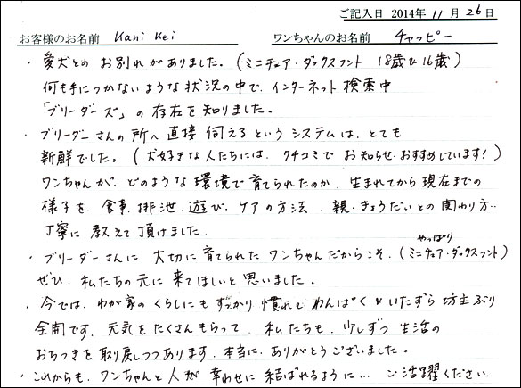 子犬お客様の声