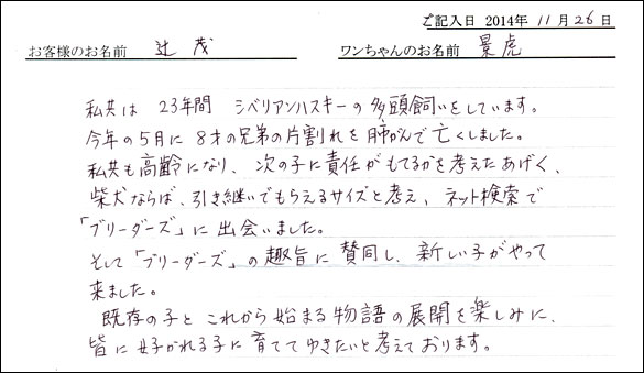 子犬お客様の声