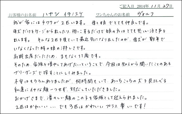子犬お客様の声