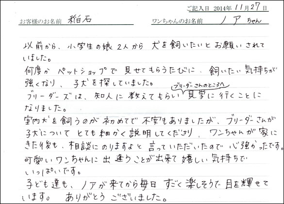 子犬お客様の声