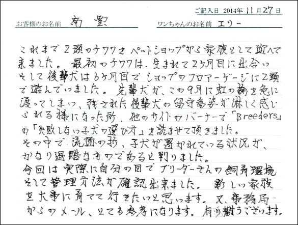 子犬お客様の声