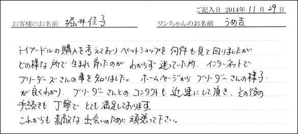 子犬お客様の声