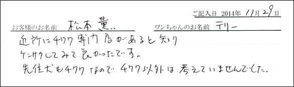 子犬お客様の声