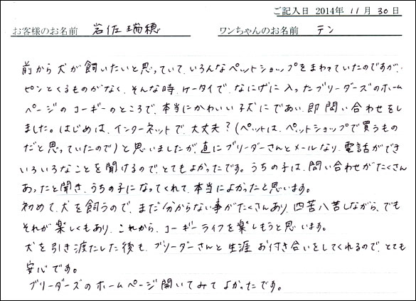 子犬お客様の声