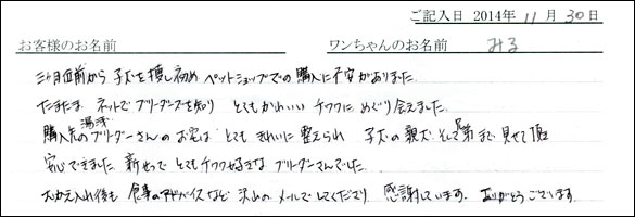 子犬お客様の声