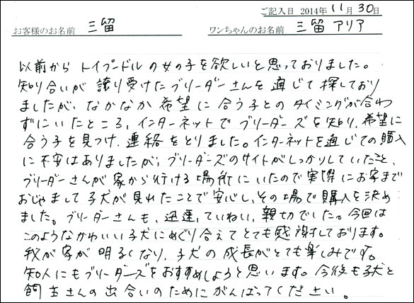 子犬お客様の声