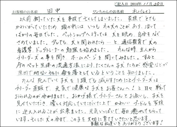 子犬お客様の声