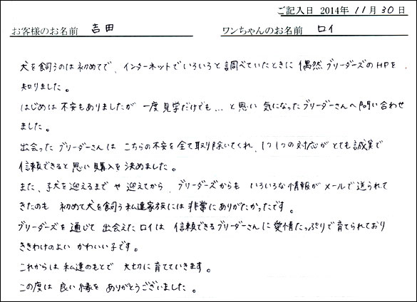 子犬お客様の声