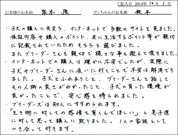 子犬お客様の声