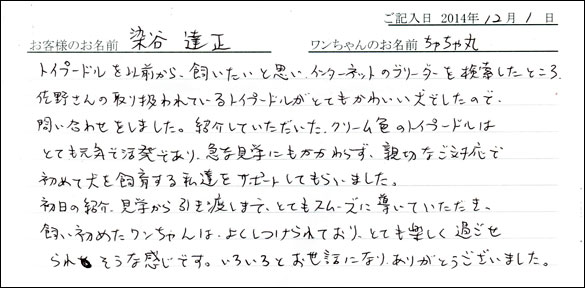 子犬お客様の声