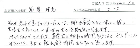子犬お客様の声