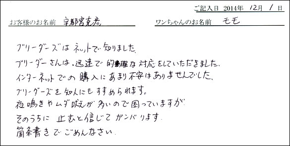 子犬お客様の声