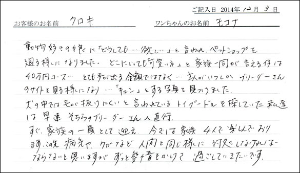 子犬お客様の声