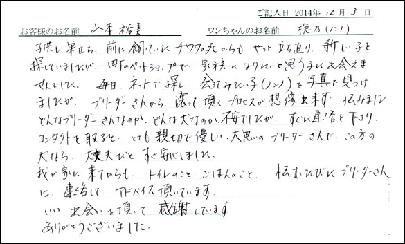 子犬お客様の声