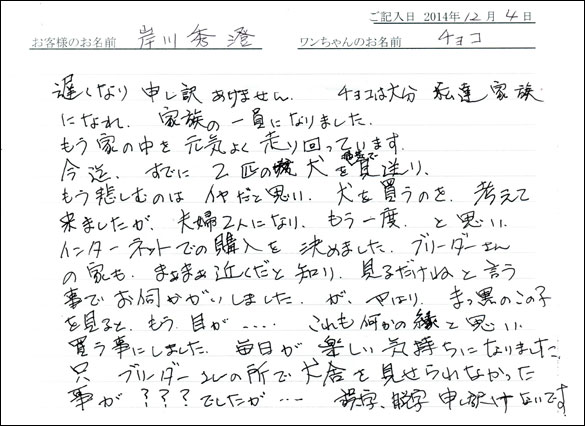 子犬お客様の声