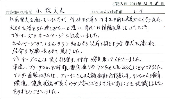子犬お客様の声