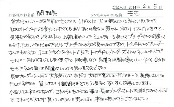 子犬お客様の声