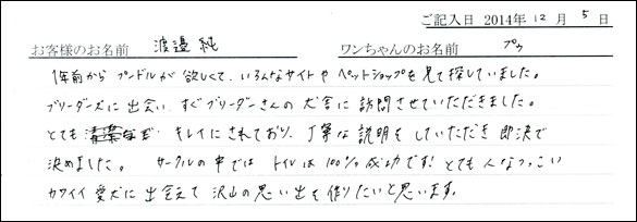 子犬お客様の声