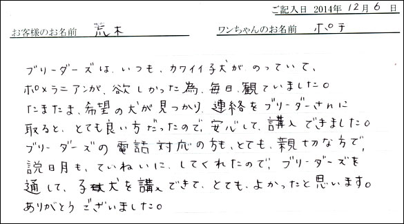 子犬お客様の声