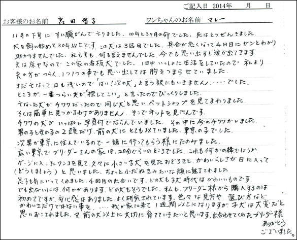 子犬お客様の声