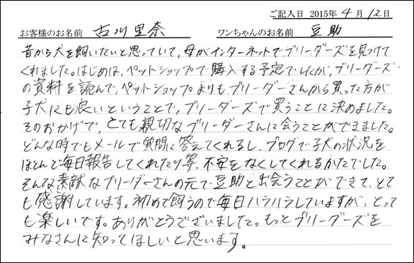 コッカーお客様の声