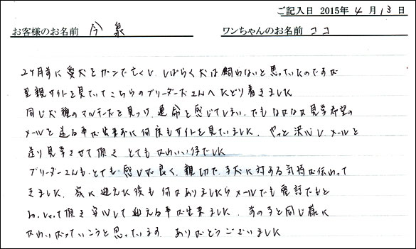 コッカーお客様の声
