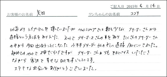 コッカーお客様の声