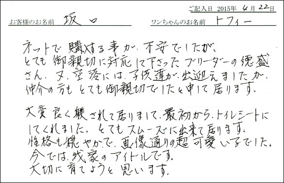 コッカーお客様の声