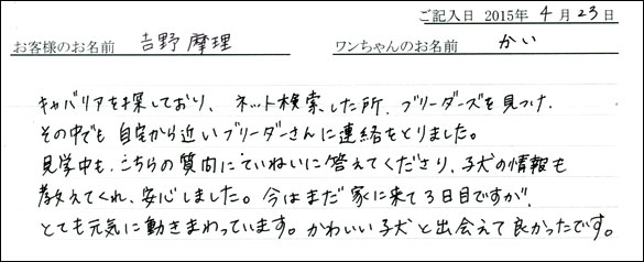 コッカーお客様の声