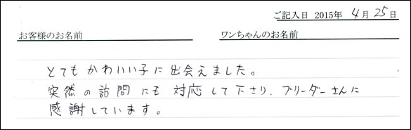 コッカーお客様の声