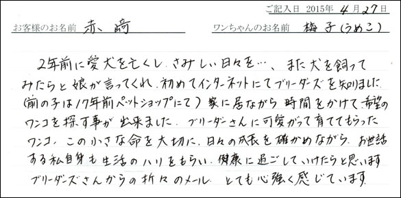 コッカーお客様の声