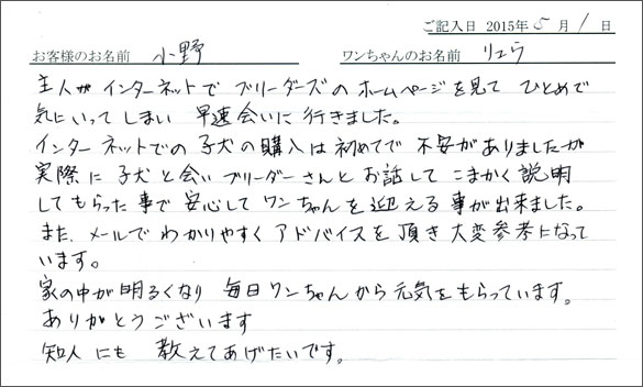 コッカーお客様の声