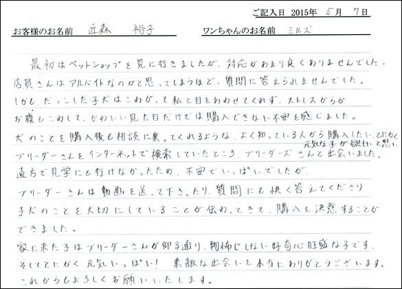 コッカーお客様の声