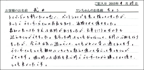 子犬お客様の声