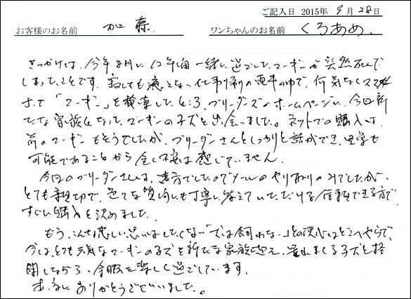 子犬お客様の声