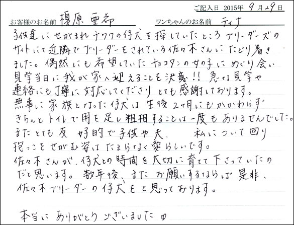 子犬お客様の声