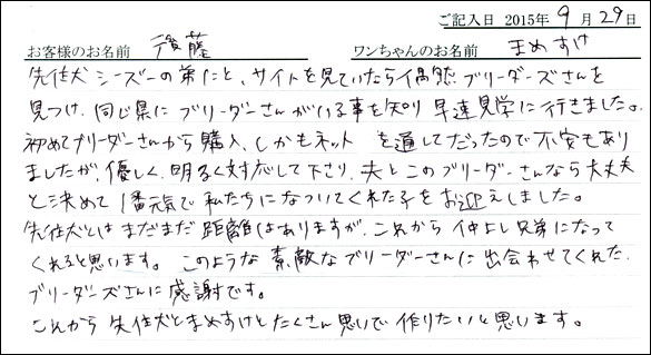 子犬お客様の声