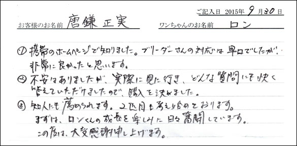 子犬お客様の声