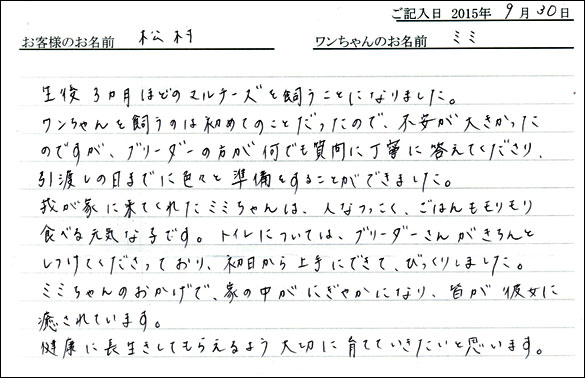 子犬お客様の声