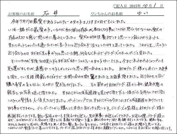 子犬お客様の声