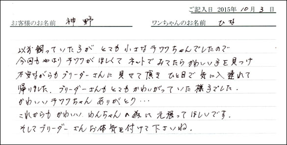 子犬お客様の声