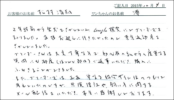 子犬お客様の声