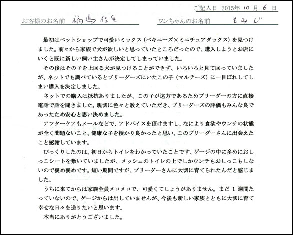 子犬お客様の声