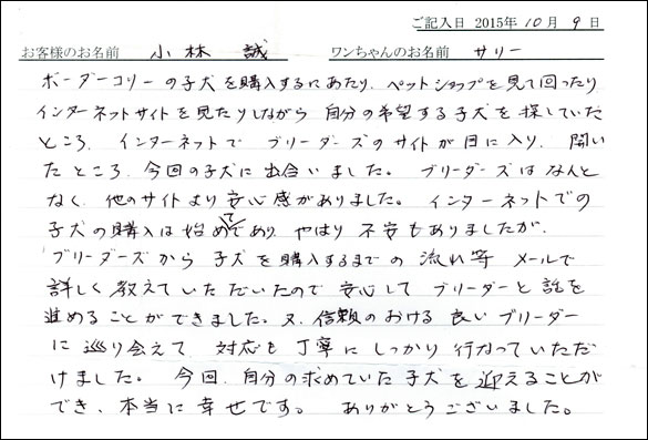 子犬お客様の声