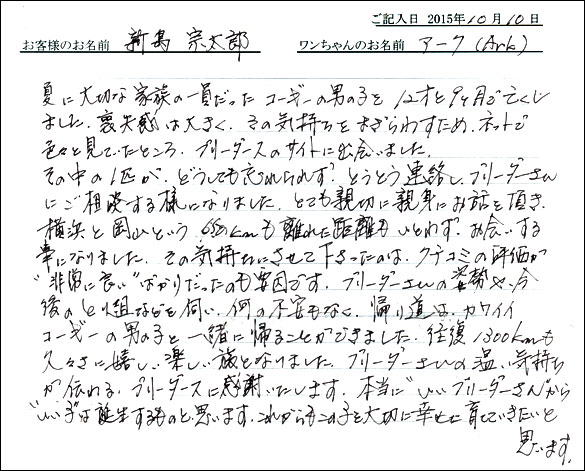 子犬お客様の声